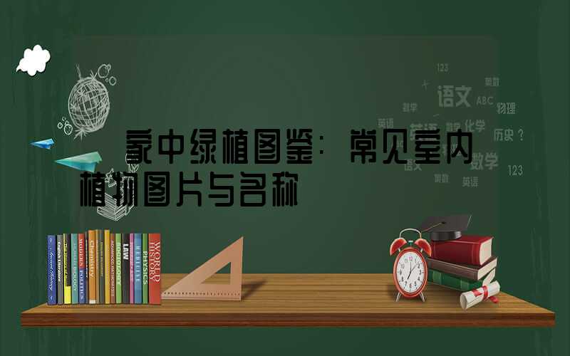 家中绿植图鉴:常见室内植物图片与名称